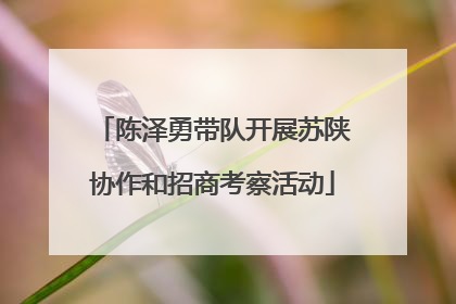 陈泽勇带队开展苏陕协作和招商考察活动