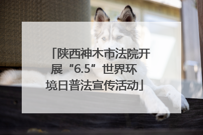 陕西神木市法院开展“6.5”世界环境日普法宣传活动