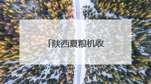 陕西夏粮机收作业陆续展开