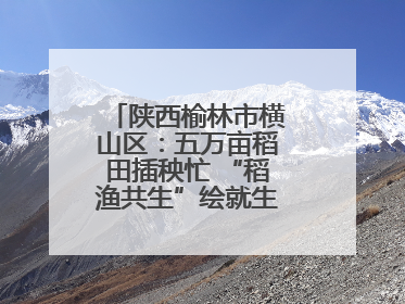陕西榆林市横山区：五万亩稻田插秧忙 “稻渔共生”绘就生态富民新画卷