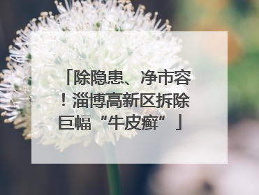 除隐患、净市容！淄博高新区拆除巨幅“牛皮癣”