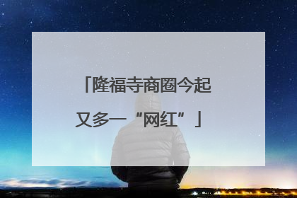 隆福寺商圈今起又多一“网红”