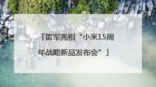 雷军亮相“小米15周年战略新品发布会”