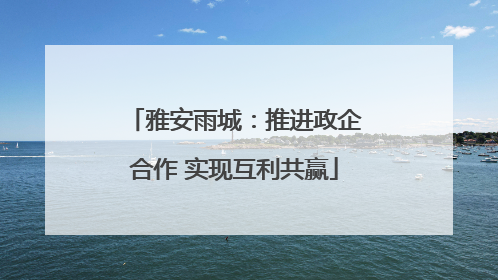 雅安雨城：推进政企合作 实现互利共赢