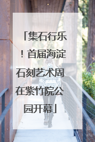 集石行乐！首届海淀石刻艺术周在紫竹院公园开幕