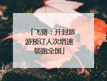 飞猪：开封旅游预订人次增速领跑全国