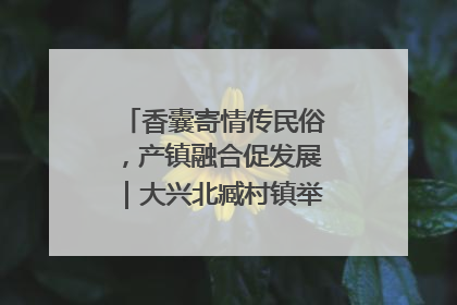 香囊寄情传民俗，产镇融合促发展｜大兴北臧村镇举办端午主题活动