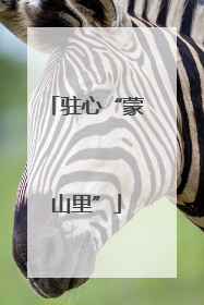 驻心“蒙山里”