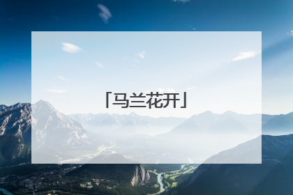 马兰花开