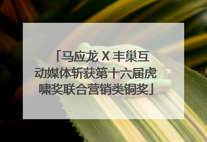 马应龙 X 丰巢互动媒体斩获第十六届虎啸奖联合营销类铜奖