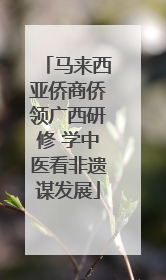 马来西亚侨商侨领广西研修 学中医看非遗谋发展