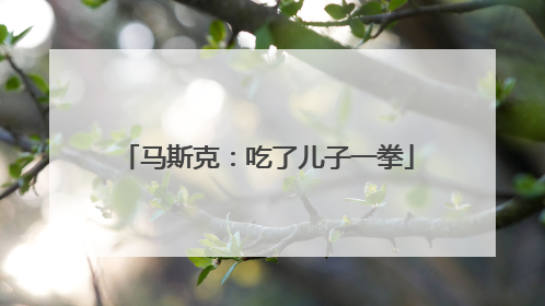 马斯克：吃了儿子一拳