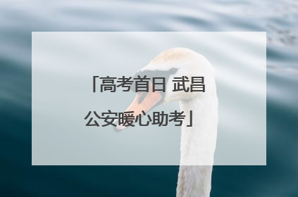 高考首日 武昌公安暖心助考
