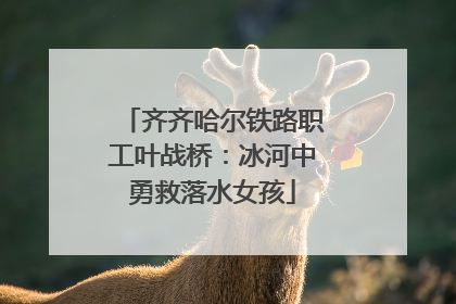 齐齐哈尔铁路职工叶战桥：冰河中勇救落水女孩