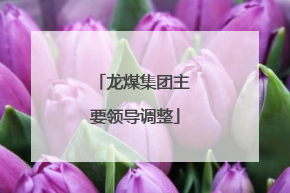 龙煤集团主要领导调整
