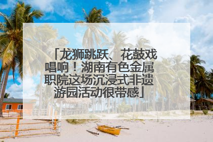 龙狮跳跃、花鼓戏唱响！湖南有色金属职院这场沉浸式非遗游园活动很带感