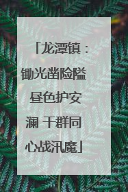 龙潭镇：锄光凿险隘 昼色护安澜 干群同心战汛魔