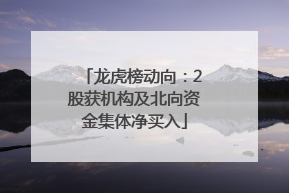 龙虎榜动向：2股获机构及北向资金集体净买入