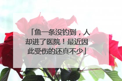 鱼一条没钓到，人却进了医院！最近因此受伤的还真不少