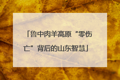 鲁中肉羊高原“零伤亡”背后的山东智慧