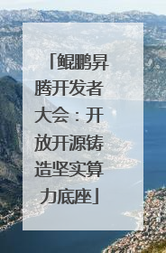 鲲鹏昇腾开发者大会：开放开源铸造坚实算力底座