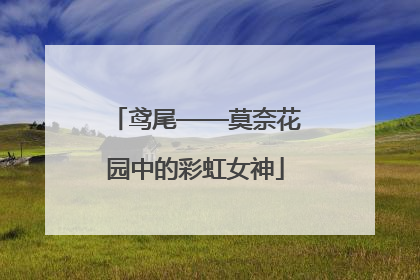鸢尾——莫奈花园中的彩虹女神