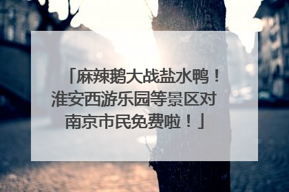 麻辣鹅大战盐水鸭！淮安西游乐园等景区对南京市民免费啦！