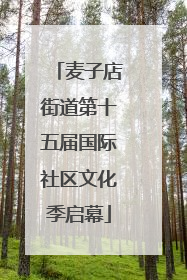 麦子店街道第十五届国际社区文化季启幕