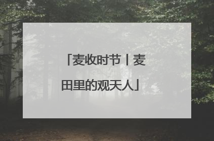 麦收时节丨麦田里的观天人