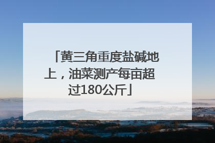 黄三角重度盐碱地上，油菜测产每亩超过180公斤