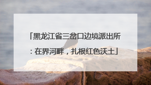 黑龙江省三岔口边境派出所：在界河畔，扎根红色沃土