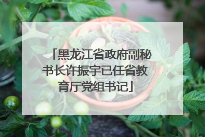黑龙江省政府副秘书长许振宇已任省教育厅党组书记