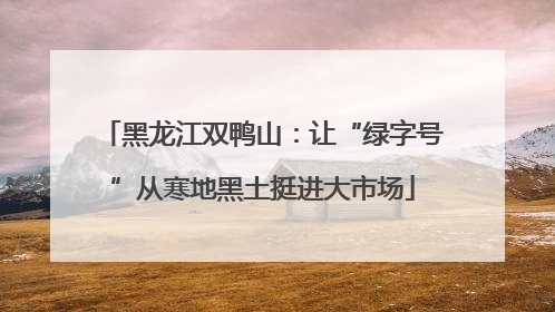 黑龙江双鸭山：让“绿字号”从寒地黑土挺进大市场