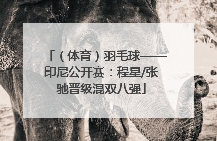 （体育）羽毛球——印尼公开赛：程星/张驰晋级混双八强