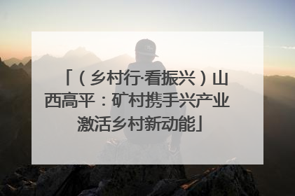 （乡村行·看振兴）山西高平：矿村携手兴产业 激活乡村新动能