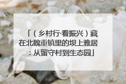 （乡村行·看振兴）藏在北魏重镇里的坝上雅居：从留守村到生态园