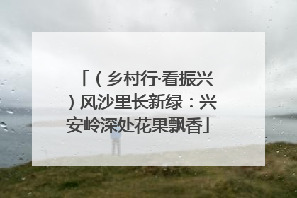 （乡村行·看振兴）风沙里长新绿：兴安岭深处花果飘香