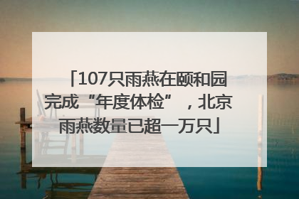 107只雨燕在颐和园完成“年度体检”，北京雨燕数量已超一万只