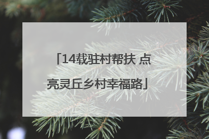 14载驻村帮扶 点亮灵丘乡村幸福路