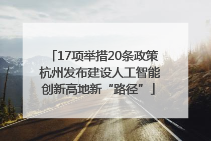 17项举措20条政策 杭州发布建设人工智能创新高地新“路径”