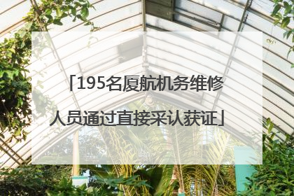 195名厦航机务维修人员通过直接采认获证