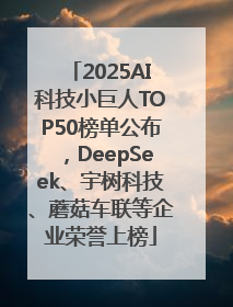 2025AI科技小巨人TOP50榜单公布，DeepSeek、宇树科技、蘑菇车联等企业荣誉上榜