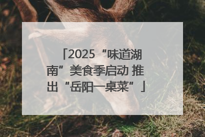 2025“味道湖南”美食季启动 推出“岳阳一桌菜”