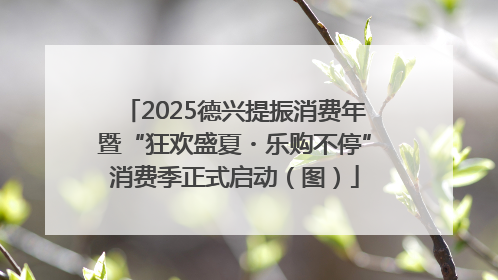 2025德兴提振消费年暨“狂欢盛夏・乐购不停”消费季正式启动（图）