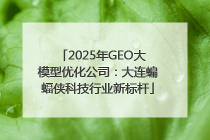 2025年GEO大模型优化公司：大连蝙蝠侠科技行业新标杆