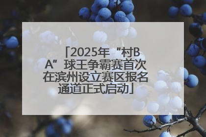 2025年“村BA”球王争霸赛首次在滨州设立赛区报名通道正式启动