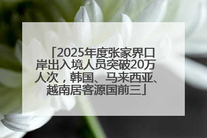 2025年度张家界口岸出入境人员突破20万人次，韩国、马来西亚、越南居客源国前三