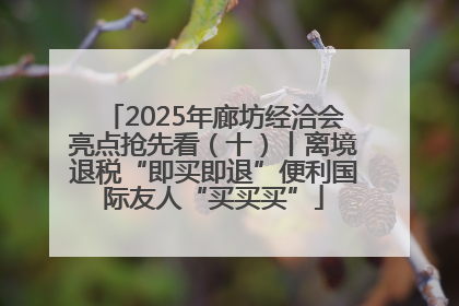 2025年廊坊经洽会亮点抢先看（十）丨离境退税“即买即退”便利国际友人“买买买”