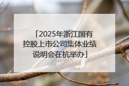 2025年浙江国有控股上市公司集体业绩说明会在杭举办