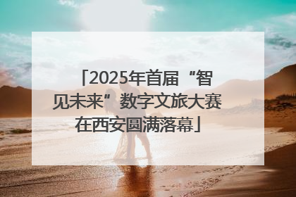 2025年首届“智见未来”数字文旅大赛在西安圆满落幕